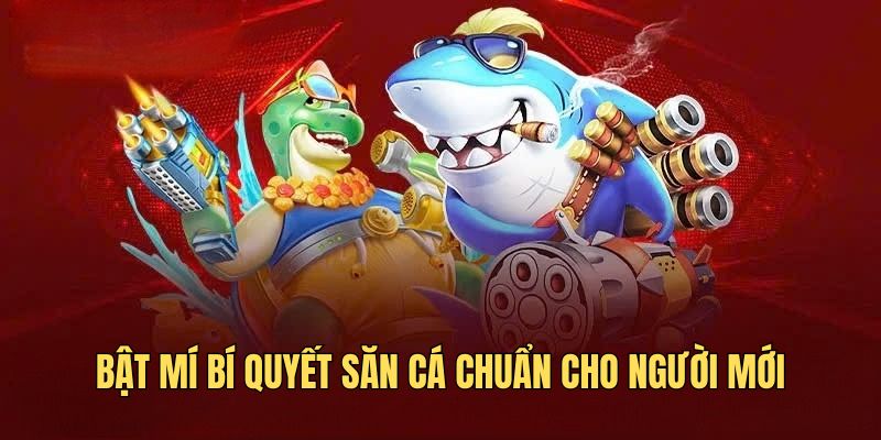 Bật mí bí quyết săn cá chuẩn cho người mới