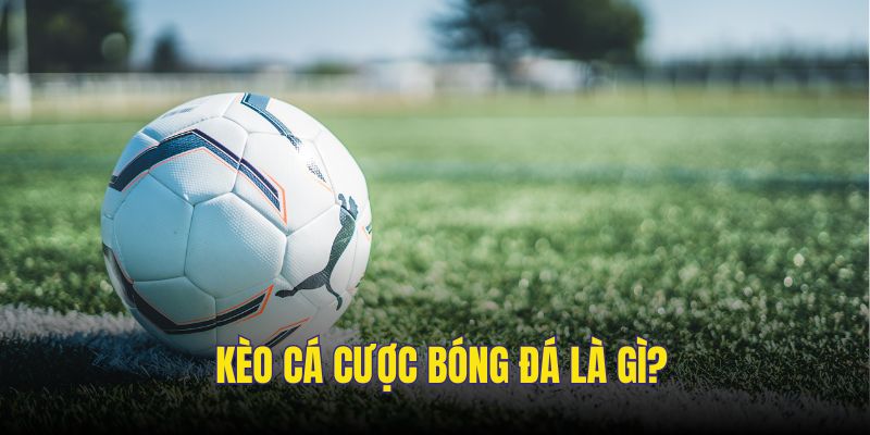 Giải thích cơ bản về kèo bóng đá