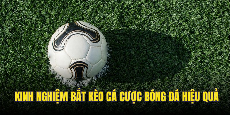 Tips soi kèo được chuyên gia đánh giá cao