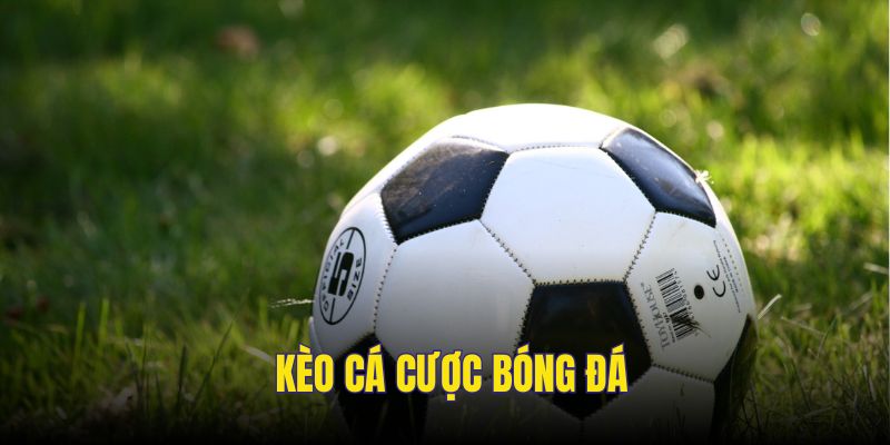 keo-ca-cuoc-bong-da